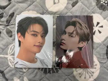 SEVENTEEN 프리미엄 사진 준 POWER OF LOVE