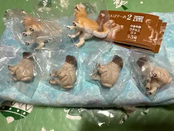 미사용  6체 세트