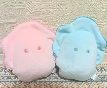 동그란 눈의 생굴 페어 컬러 전 2종 세트