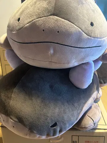 포켓몬 도오, 팔데아도오 봉제 인형 2체