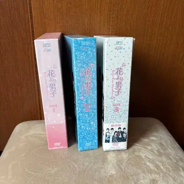 꽃보다 남자~Boys Over Flowers DVD-BOX 전권 이민호
