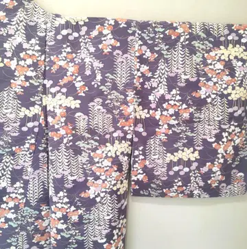 코몬 무늬 화려함