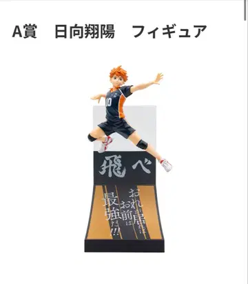 히나타 쇼요 A상 피규어