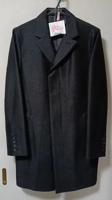 니콜 체스터 코트