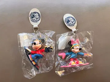 레어 [디즈니 온 투어] 홋카이도 한정 미키 미니 스노우보드