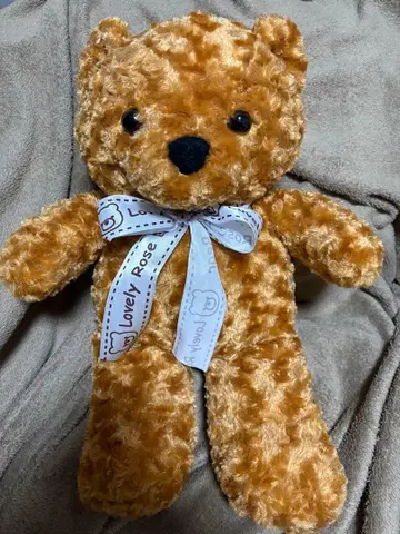 AMUFUN 러블리 로즈 베어 곰 봉제 인형 브라운