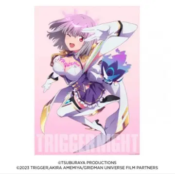 그리드맨 유니버스 신조 아카네 뉴 오더 키 비주얼 B2 포스터