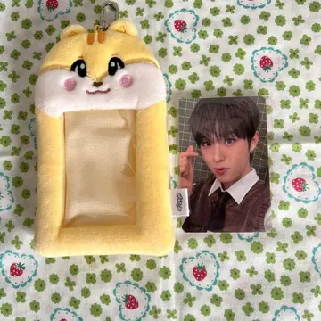 NEXZ 휴이 휴로미 트레이딩 카드 케이스