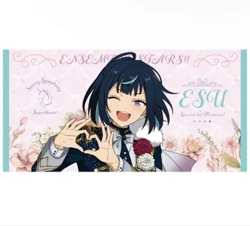 사에기리 쇼슈 빅 비주얼 타월