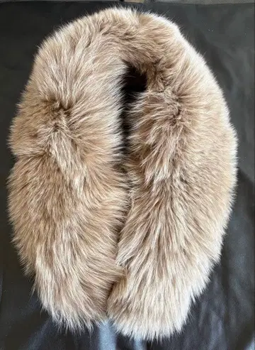 베이지 퍼스트올 성인식