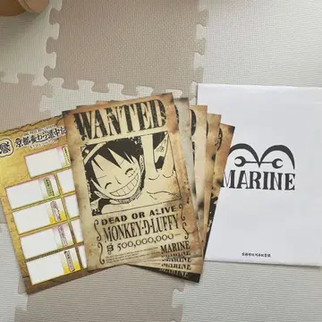 원피스 지명수배 포스터