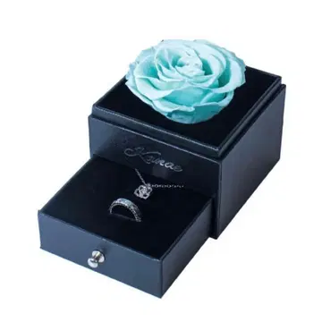 니지산지 준 브라이트 2024 반지 목걸이 카나에