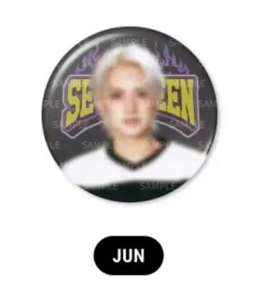 세븐틴 seventeen home 캔뱃지 준