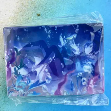 프로세카 노블 아트 [머메이드에게 동경하여] (KAITO*특훈 후)