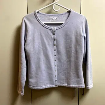 아그네스 베이커 디건