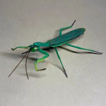 유진 원색 일본 곤충 도감 II 큰사마귀