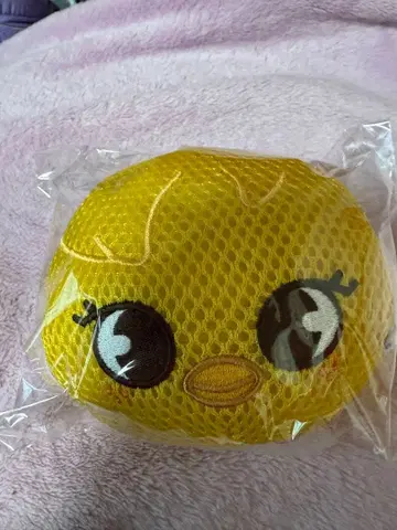 straykids Felix 바디 스펀지