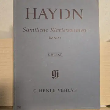 하이드 소나타 Band1 헨레판