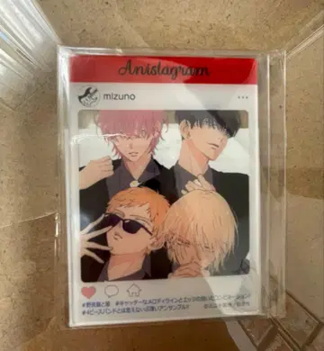 길고양이와 늑대 아크릴 카드