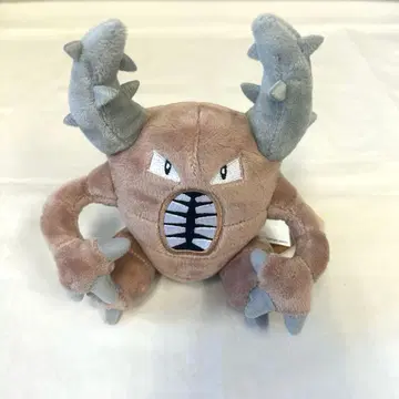 미사용품! 카이로스 포켓몬 fit 봉제 인형 구 택 포함