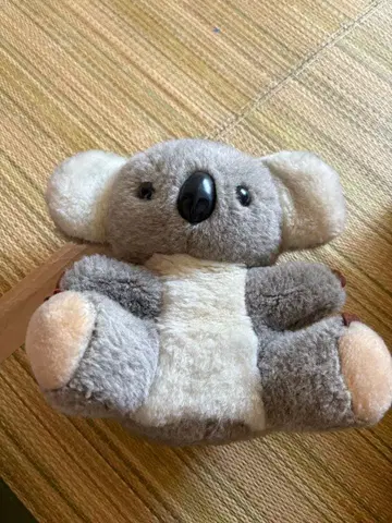 가고시마 히라카와 동물원 구매 자택 보관