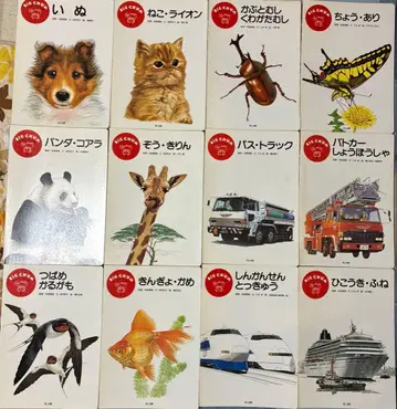 BIG CHUM 빅참 첫 번째 도감