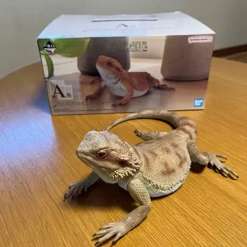 BANDAI NAMCO 제일복권 비어디드래곤 피규어 A상