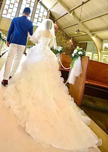 웨딩 드레스 파니에, 베일 포함