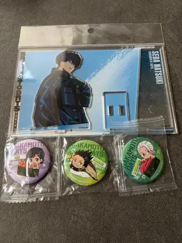 사카모토 데이즈 세바 여름 베이스 야드