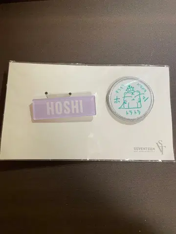 SEVENTEEN SVT 2020 배지 세트 호시