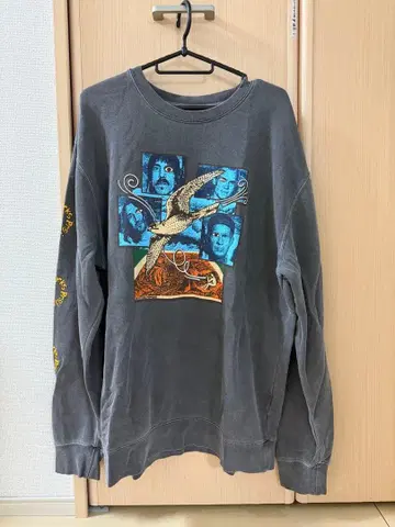 RED HOT CHILI PEPPERS PARKS PROJECT