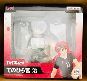 하이큐!! 테노히라 미야 오사무