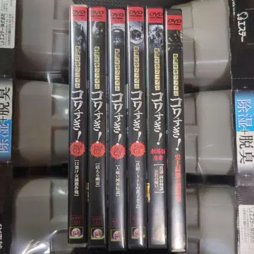코와스기! DVD 시리즈 6권 세트