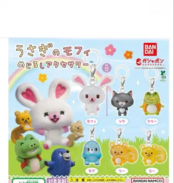 토끼 모피 메지루시 액세서리 가챠 5종 세트