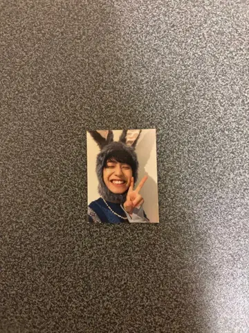 사쿠라시메지 다나카 마사노리 미니 포토