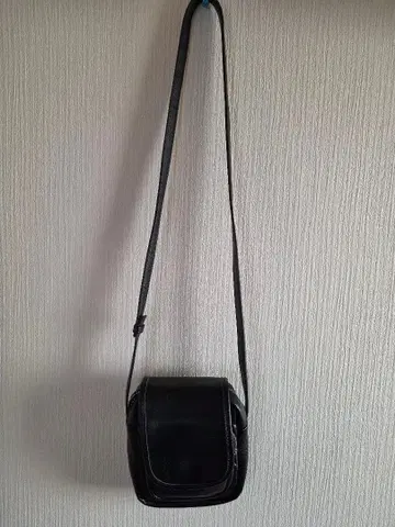 SINSS 미니 숄더백