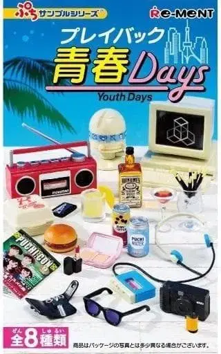 [ 플레이백 청춘 days ] 트레이딩 피규어