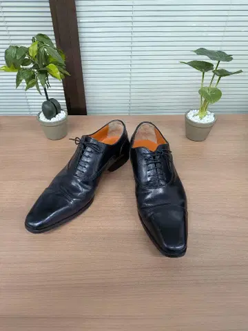 Santoni 스트레이트 팁 11105 비즈니스 슈즈 25.0