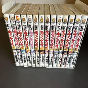 신세기 에반게리온 전권 세트 1권 ~ 14권