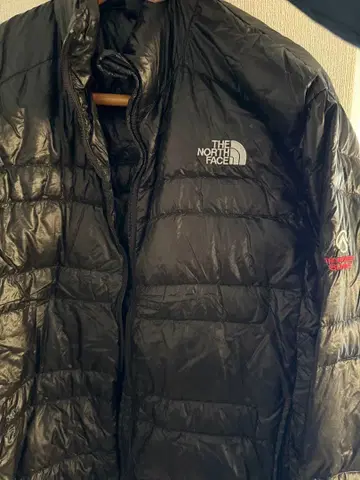 THE NORTH FACE XL 다운 자켓 SUMMIT SERIES