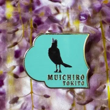 귀멸의 칼날 기둥전 컬렉션 핀즈 토키토 무이치로 카스가이 카라스 긴코