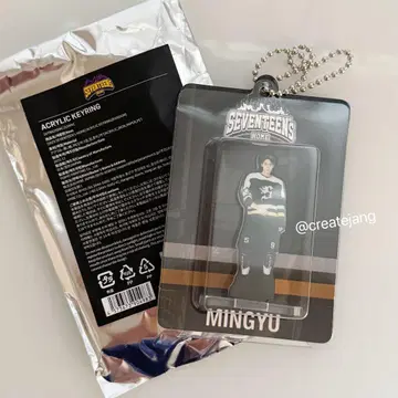 SEVENTEEN 2025 HOME 아크링 키링 MINGYU 민규