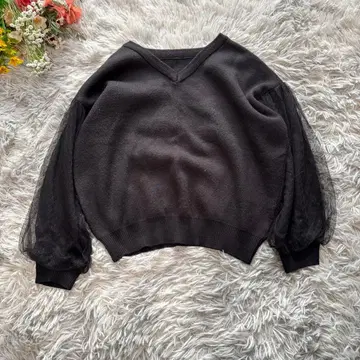 비스 도트 튤 슬리브 니트 [ F ] 블랙 V넥 이소재