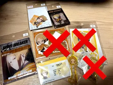 WINDBREAKER 사코 코타 아크릴 참