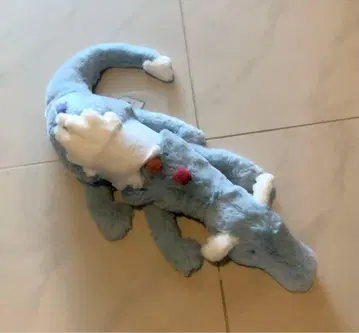 제리캣 스카이드래곤 Sky Dragon