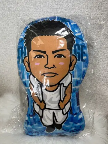 타케치 카이세이 쿠션