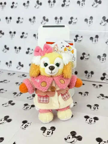 쿠키앤 인형 배지 시크릿 오브 스노우위 데이