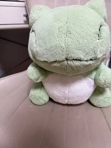 포켓몬 센터 대타 봉제 인형