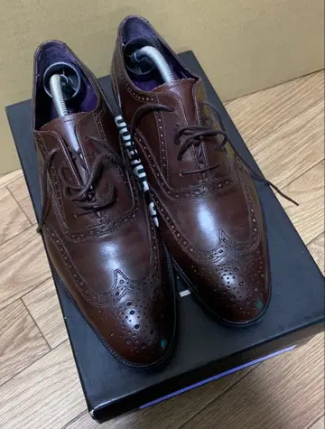 브라운 윙 팁 리미티드 에디션