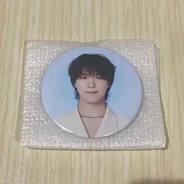 SEVENTEEN New_ 캔뱃지 디노